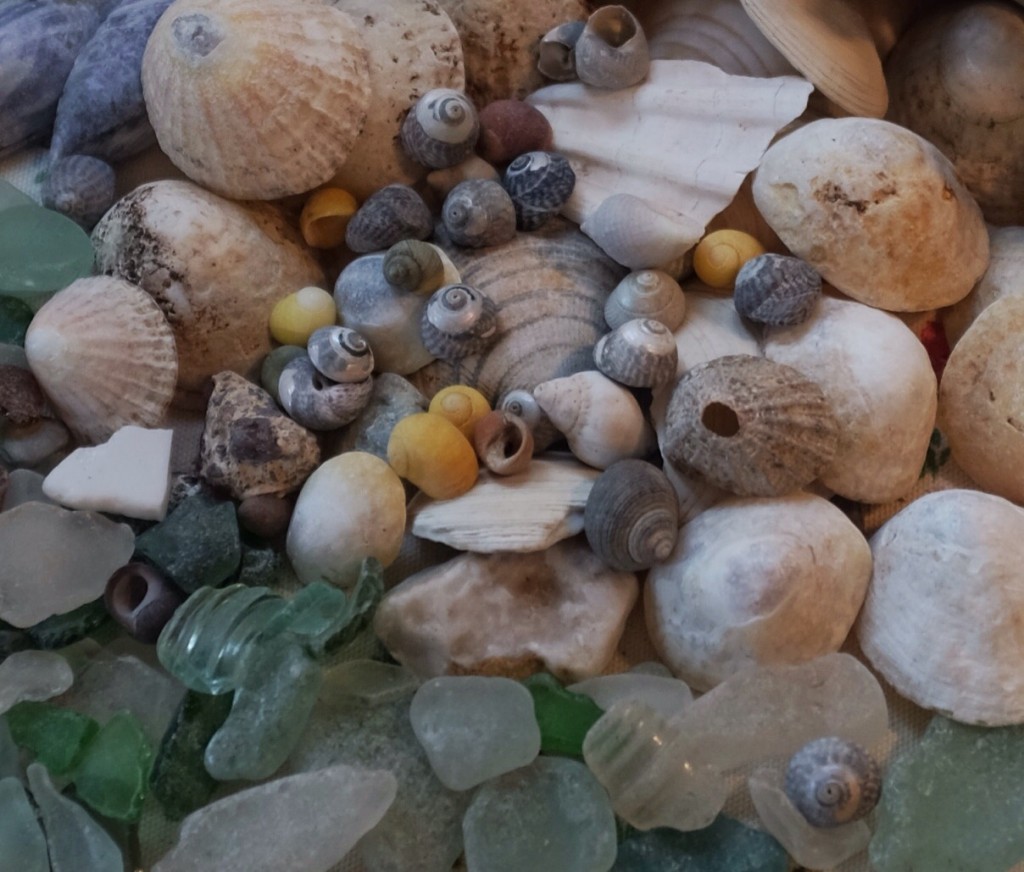 Shells and glass