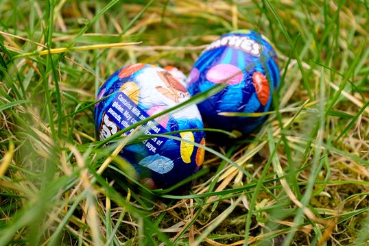 A good old-fashioned Easter egg hunt