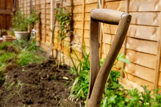 Gardening with a spade