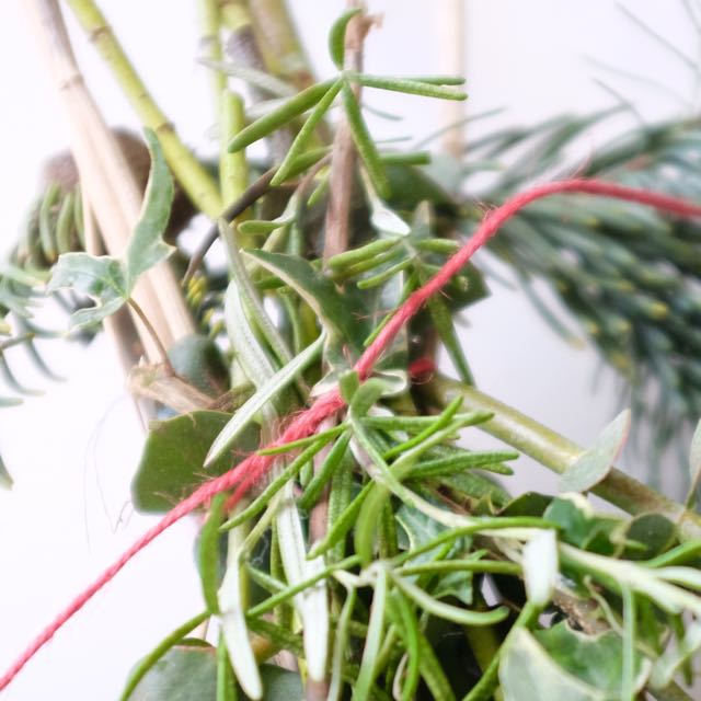 Make a scented bunch of greenery for your door